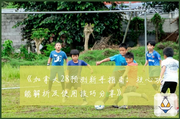 《加拿大28预测新手指南:核心功能解析及使用技巧分享》
