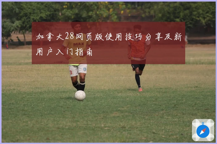 加拿大28网页版使用技巧分享及新用户入门指南