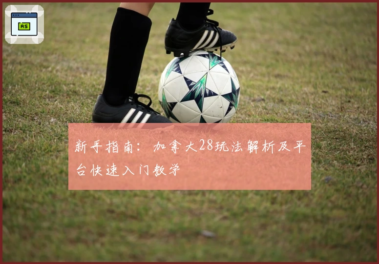 新手指南：加拿大28玩法解析及平台快速入门教学