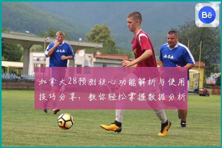 加拿大28预测核心功能解析与使用技巧分享，教你轻松掌握数据分析方法