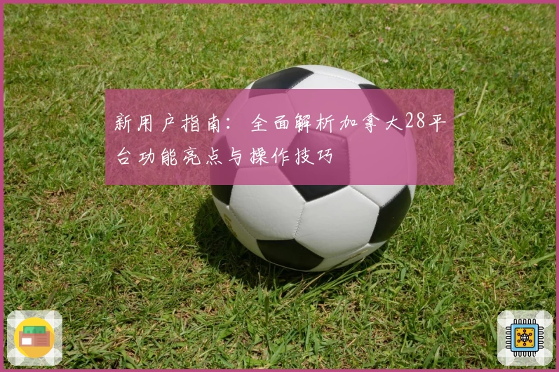 新用户指南：全面解析加拿大28平台功能亮点与操作技巧