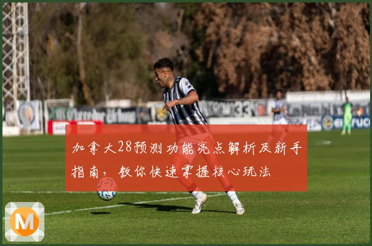 加拿大28预测功能亮点解析及新手指南，教你快速掌握核心玩法