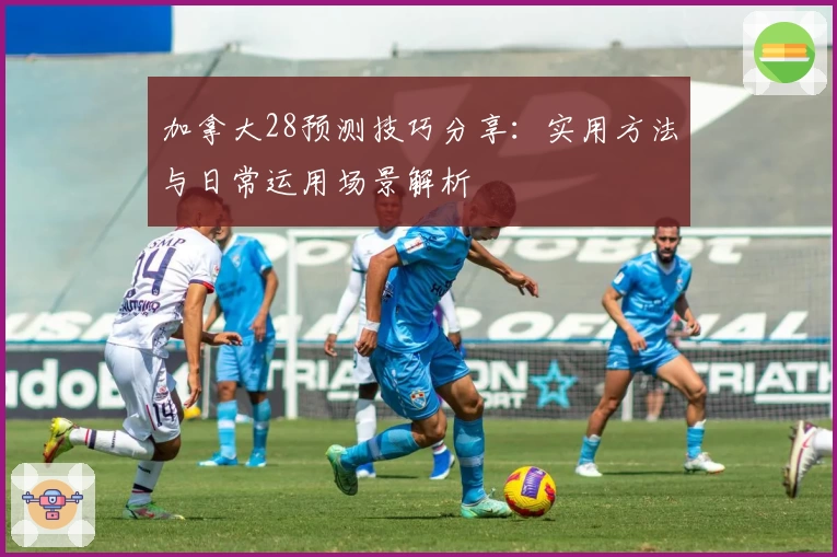 加拿大28预测技巧分享：实用方法与日常运用场景解析