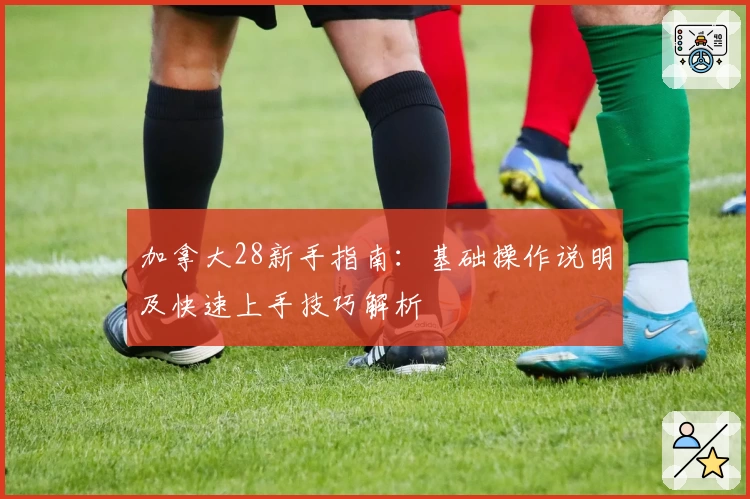 加拿大28新手指南：基础操作说明及快速上手技巧解析