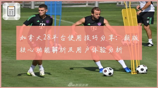 加拿大28平台使用技巧分享:新版核心功能解析及用户体验分析