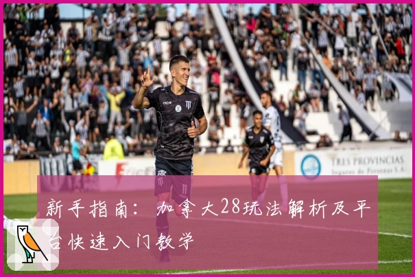 新手指南：加拿大28玩法解析及平台快速入门教学