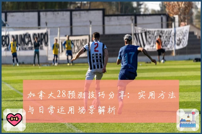 加拿大28预测技巧分享：实用方法与日常运用场景解析