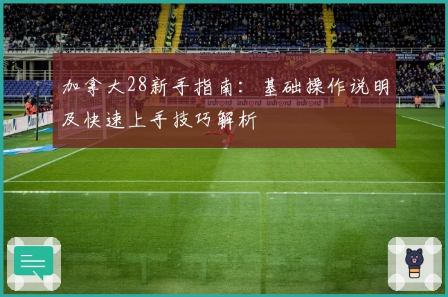 加拿大28新手指南：基础操作说明及快速上手技巧解析