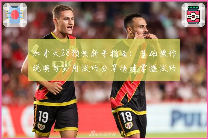 加拿大28预测新手指南:基础操作说明与实用技巧分享快速掌握技巧