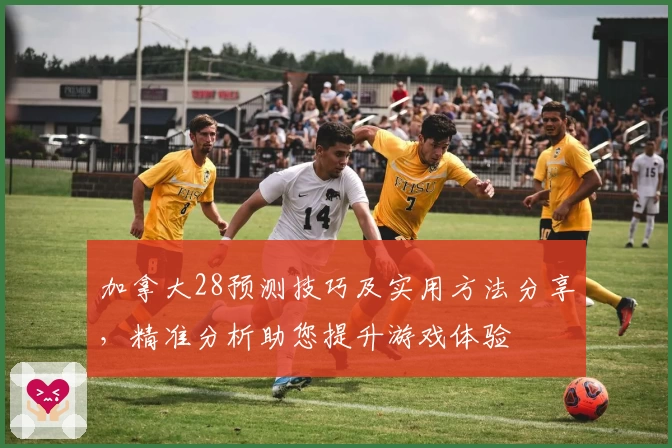 加拿大28预测技巧及实用方法分享，精准分析助您提升游戏体验