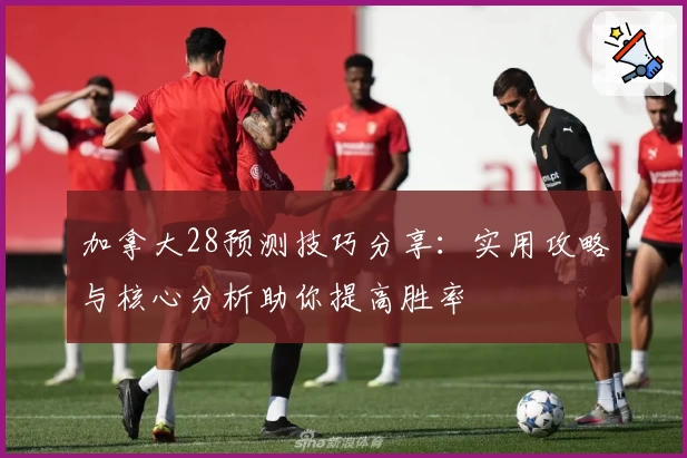 加拿大28预测技巧分享：实用攻略与核心分析助你提高胜率