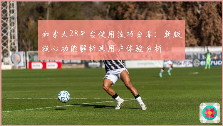 加拿大28平台使用技巧分享:新版核心功能解析及用户体验分析