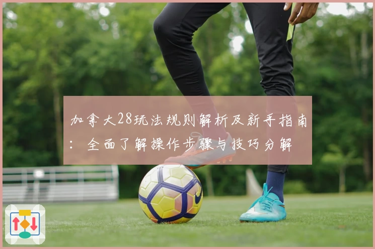 加拿大28玩法规则解析及新手指南:全面了解操作步骤与技巧分解