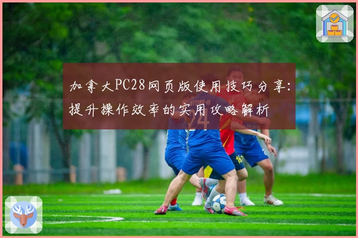 加拿大PC28网页版使用技巧分享：提升操作效率的实用攻略解析